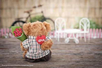 rose-bear-plush-toy